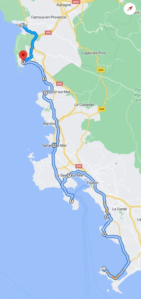 um pirata e seu cão