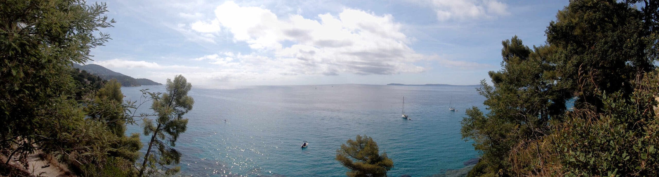 Um pirata e seu cão