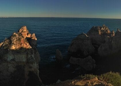 Tortuosidades vitais