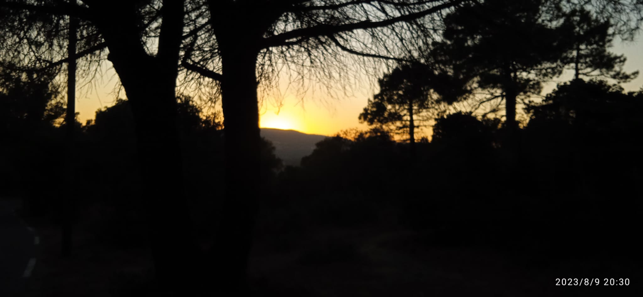 Um estranho no ninho